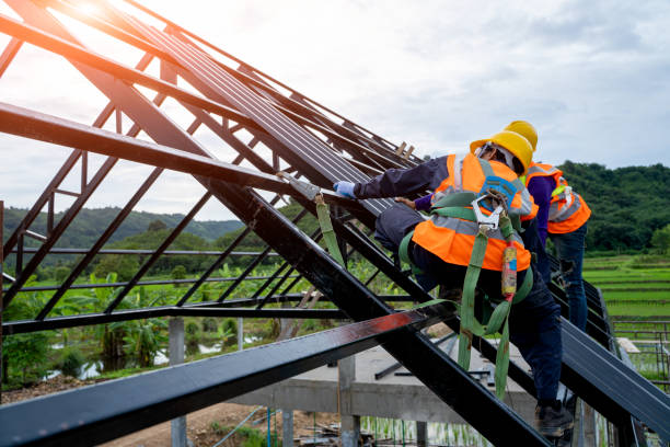 Best Roof Gutter Cleaning  in Orangetree, FL