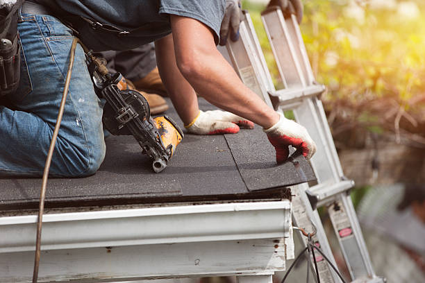 Best Local Roofing Companies  in Orangetree, FL
