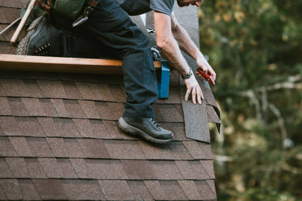 Best Storm Damage Roof Repair  in Orangetree, FL