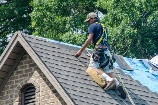 Quick and Trustworthy Emergency Roof Repair Services in Orangetree, FL