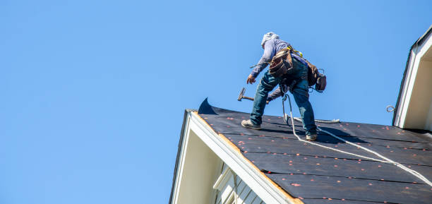 Best Residential Roofing Contractor  in Orangetree, FL